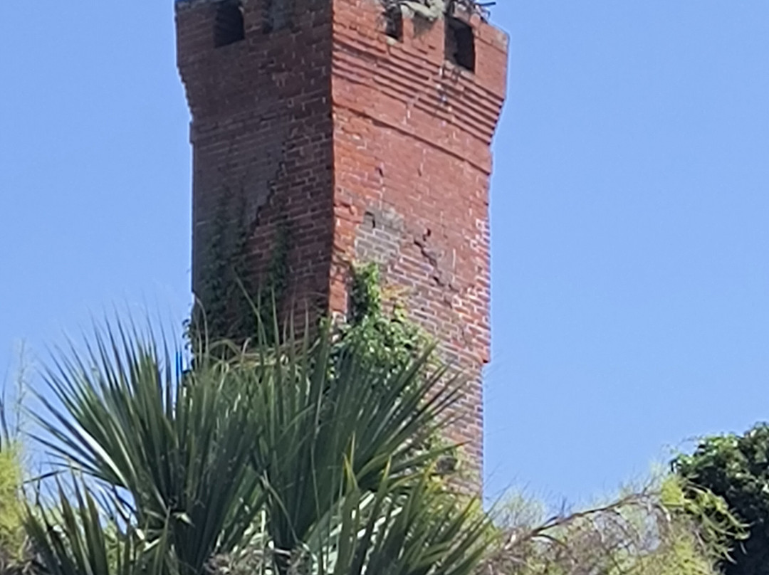 The Lands and Legacies Tour-Cumberland Island必去景点