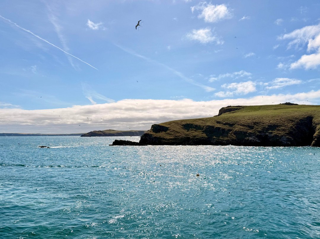 Pembrokeshire Islands Boat Trips-Marloes必去景点