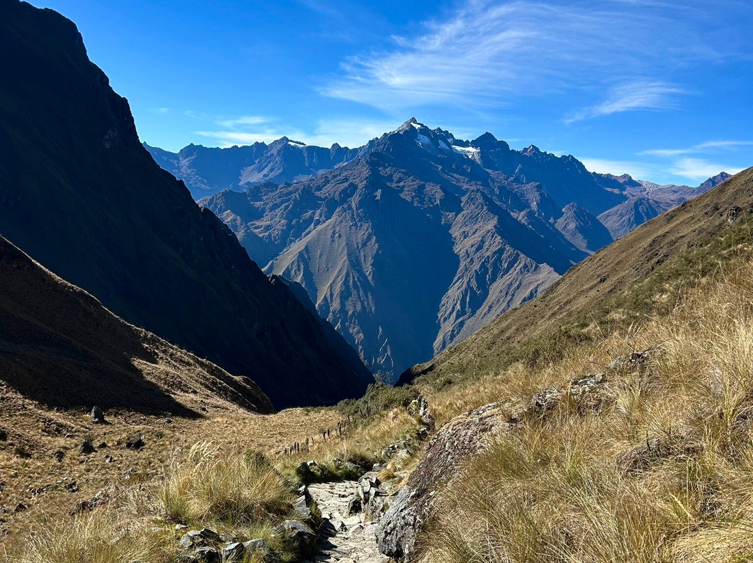 Alpaca Expeditions-库斯科必去景点
