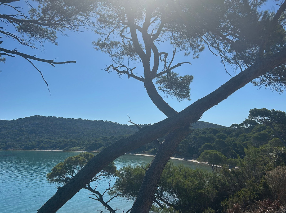 Plage Notre Dame-Notre-Dame必去景点