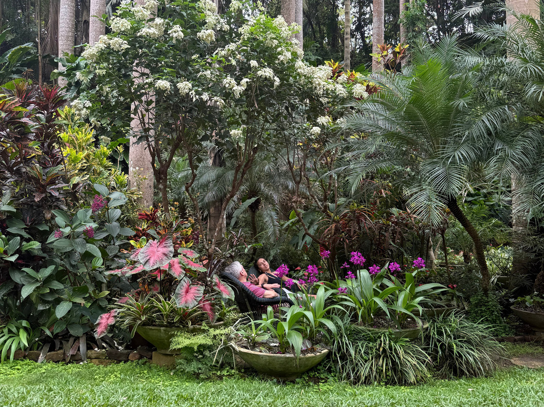 Hunte's Gardens-Saint Joseph Parish必去景点