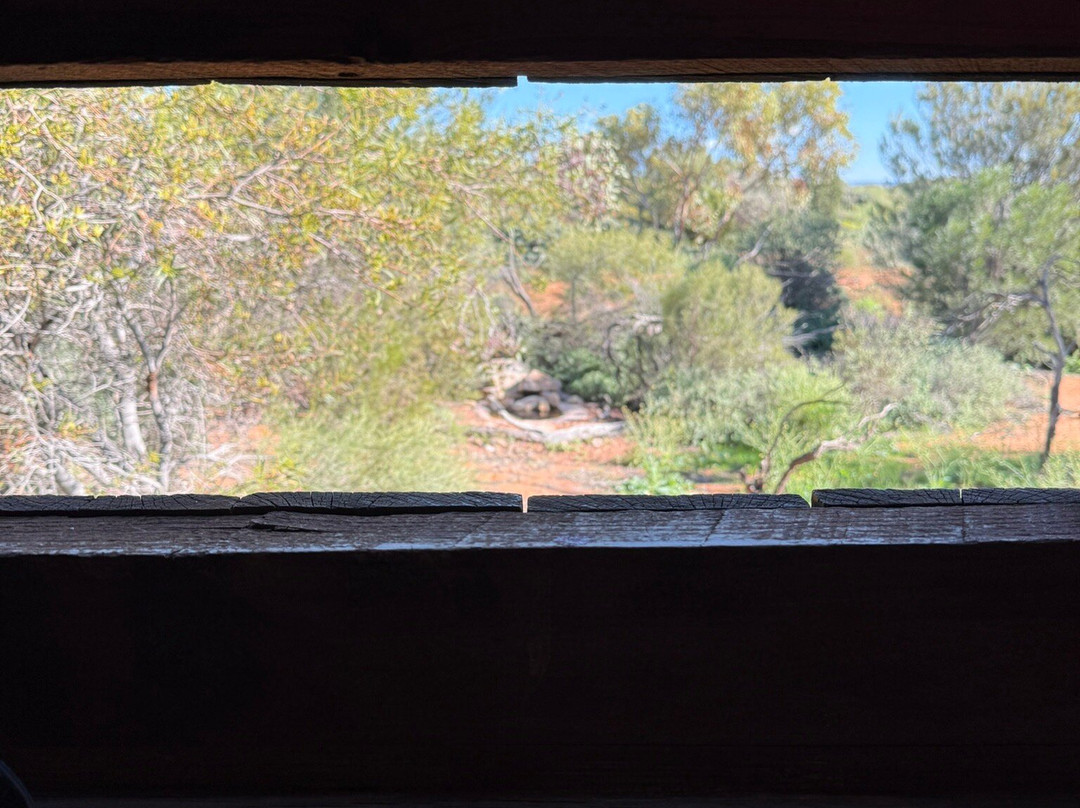 Australian Arid Lands Botanic Garden-Port Augusta必去景点