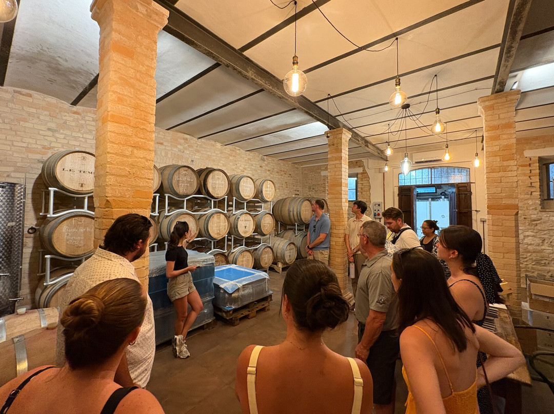 Marco's Way Wine Tours-Ostra必去景点