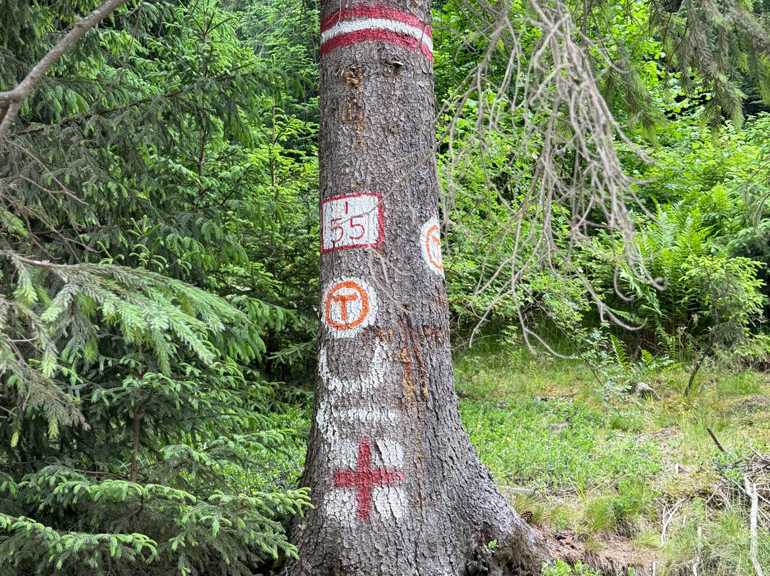 莫阿拉旅馆主图