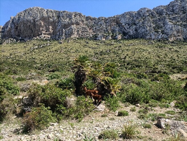 Vall de Boquer-波连萨必去景点