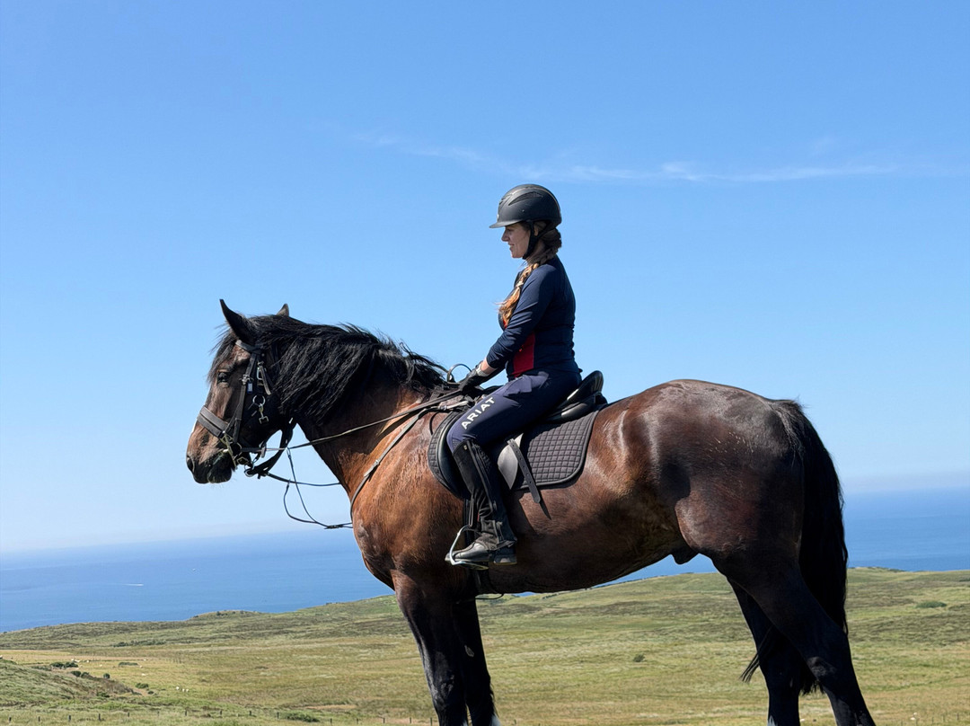 Bespoke Equestrian Ireland-都柏林必去景点