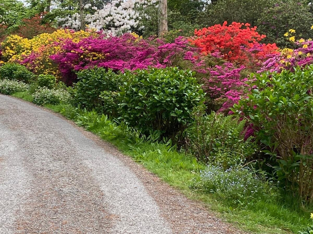 Hoveton Hall Gardens-诺威奇必去景点