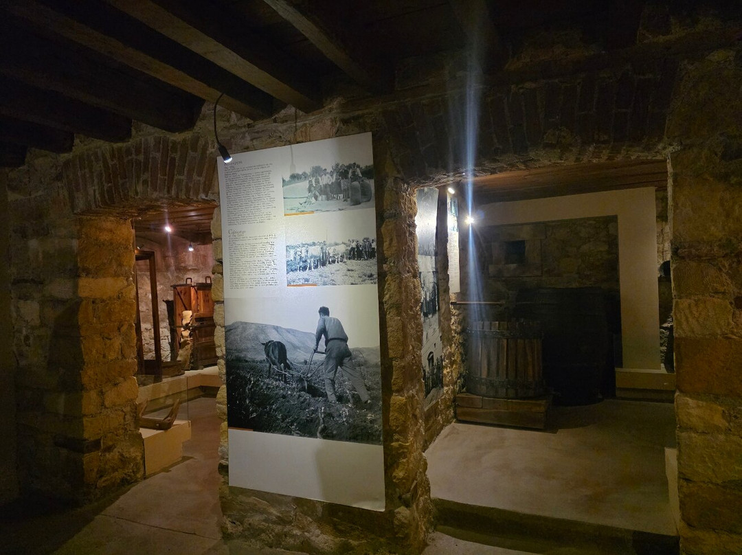 Ethnological Museum of Thrace-亚历山德鲁波利必去景点