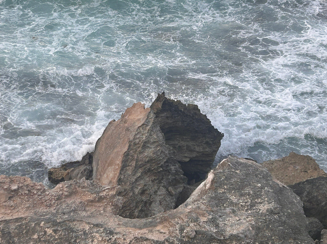 Punta Sur-女人岛必去景点