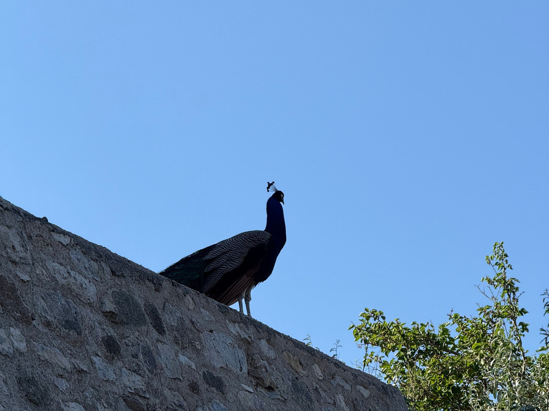 Bodrum Castle-博德鲁姆必去景点