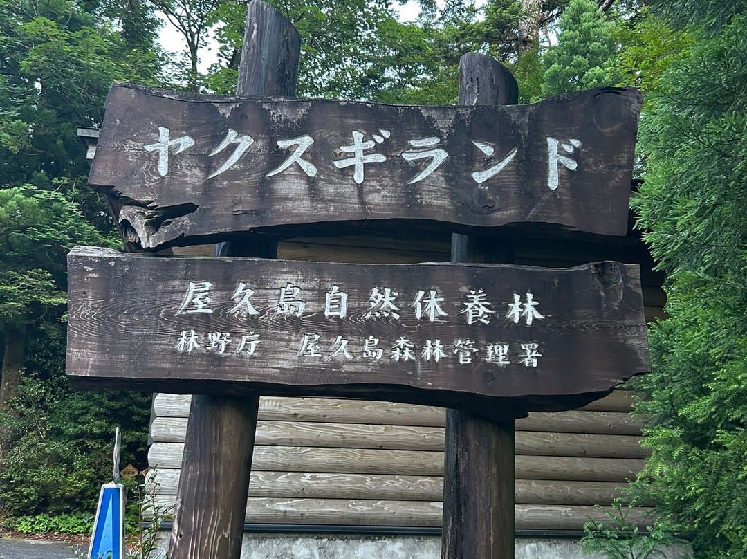 Yakusugi Land-屋久岛町必去景点