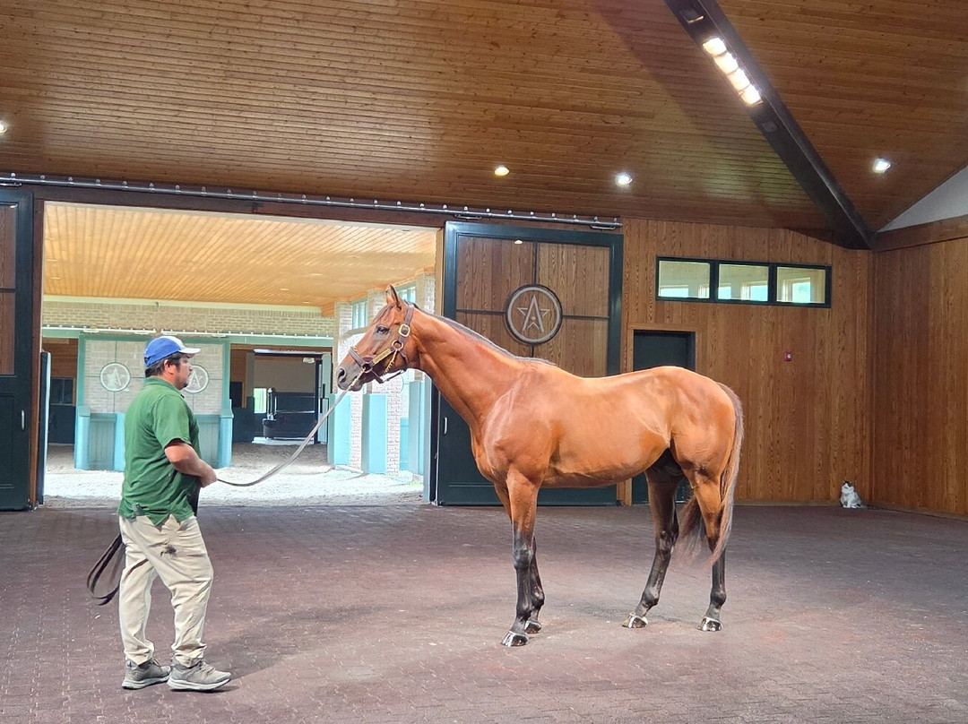 WinStar Farm-Versailles必去景点