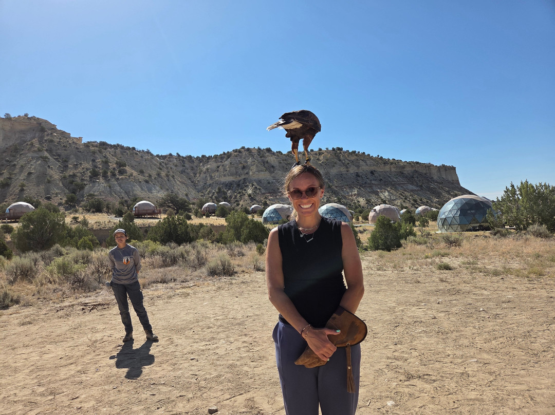 Bryce Canyon Falconry