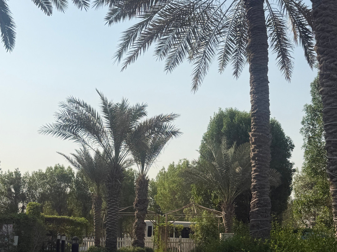 Ajman Hotel & Villas by Blazon Hotels主图
