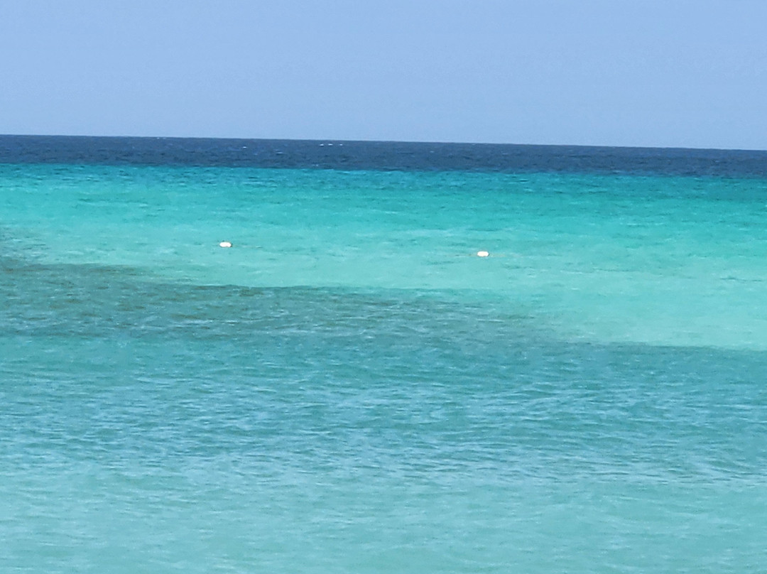 Arashi Beach-Arashi必去景点