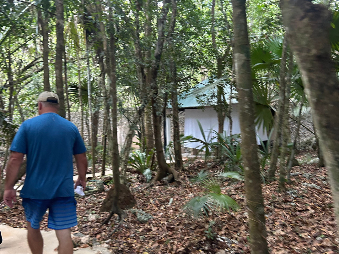 Los Colibries Mayan Jungle Spa-从莫雷洛斯港必去景点
