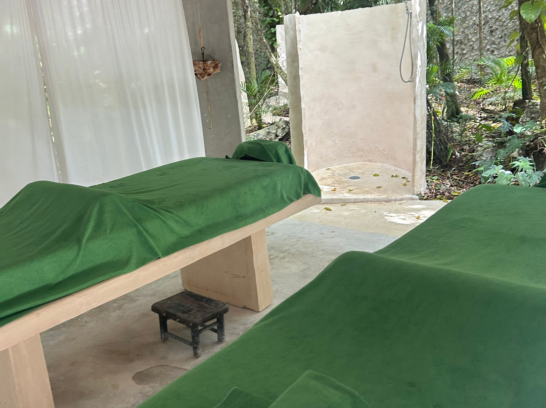 Los Colibries Mayan Jungle Spa-从莫雷洛斯港必去景点