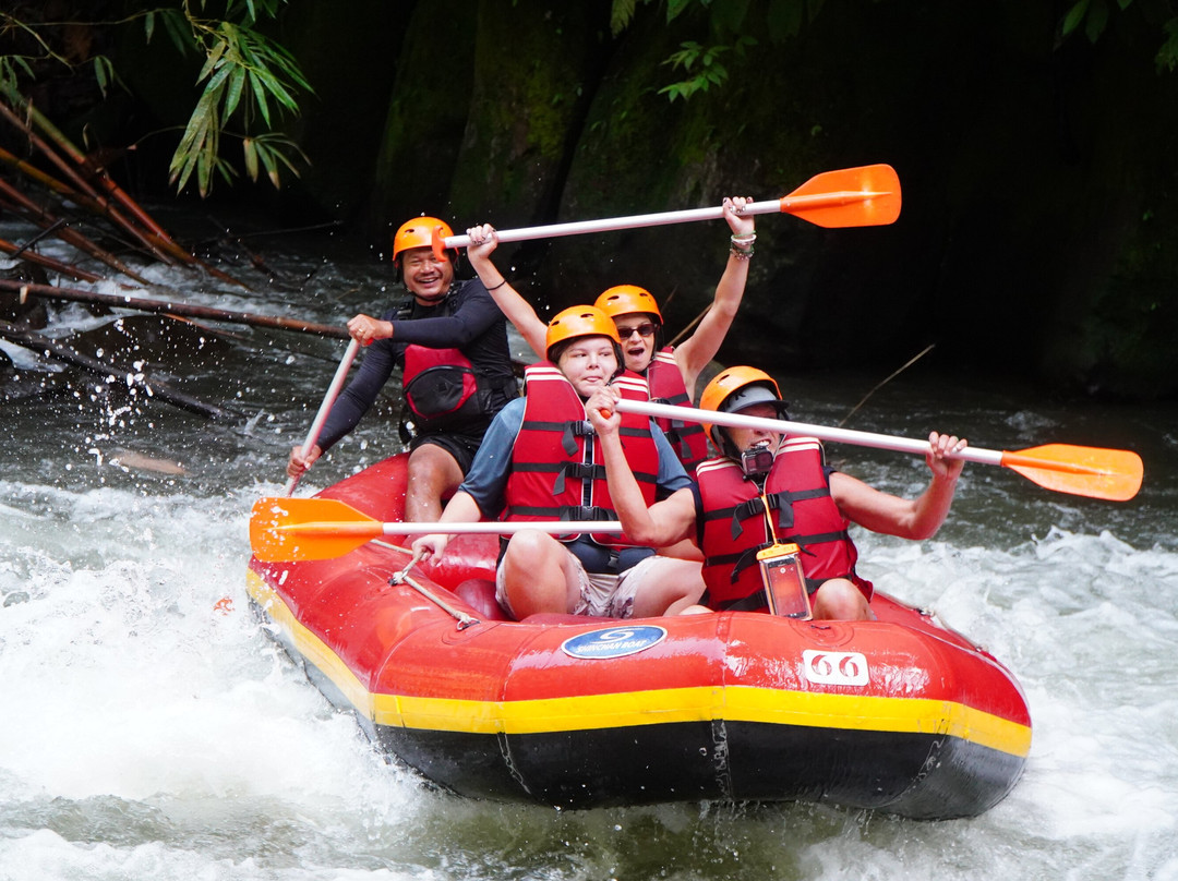 Japa Bali Tours-乌布必去景点