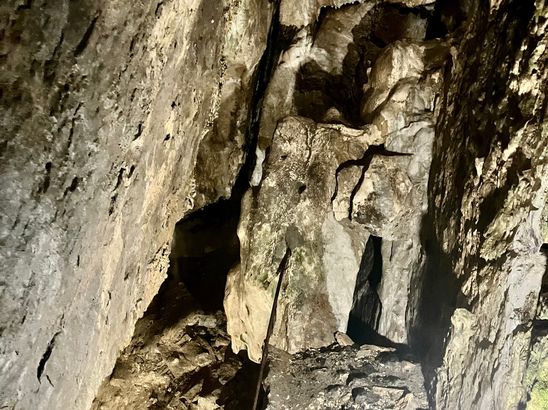 La Grotte de Nichet-Fromelennes必去景点