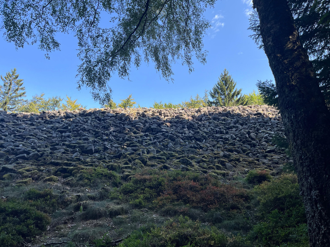 Hunnenring der keltische Ringwall-Nonnweiler必去景点