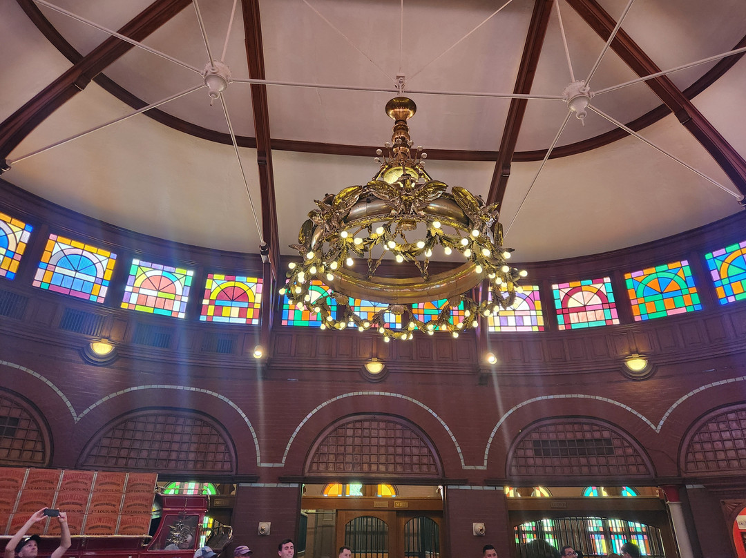 Budweiser Brewery Experience-圣路易斯必去景点