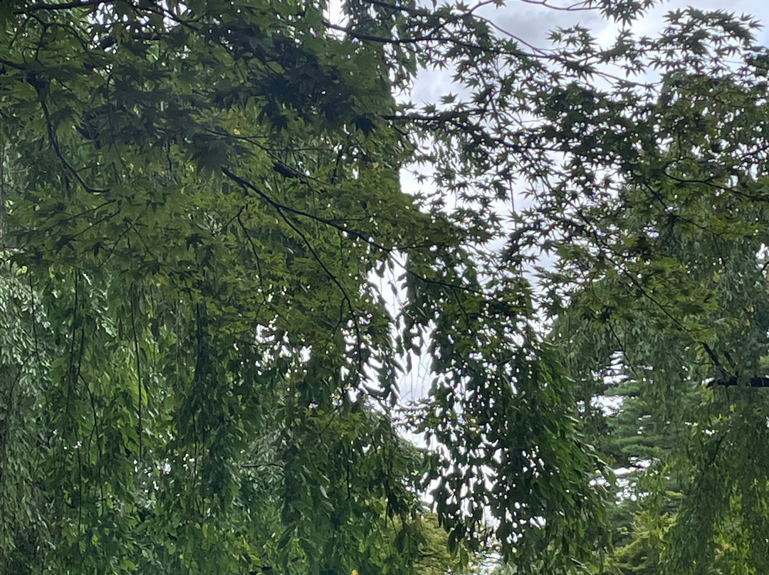 Kakunodate-仙北市必去景点
