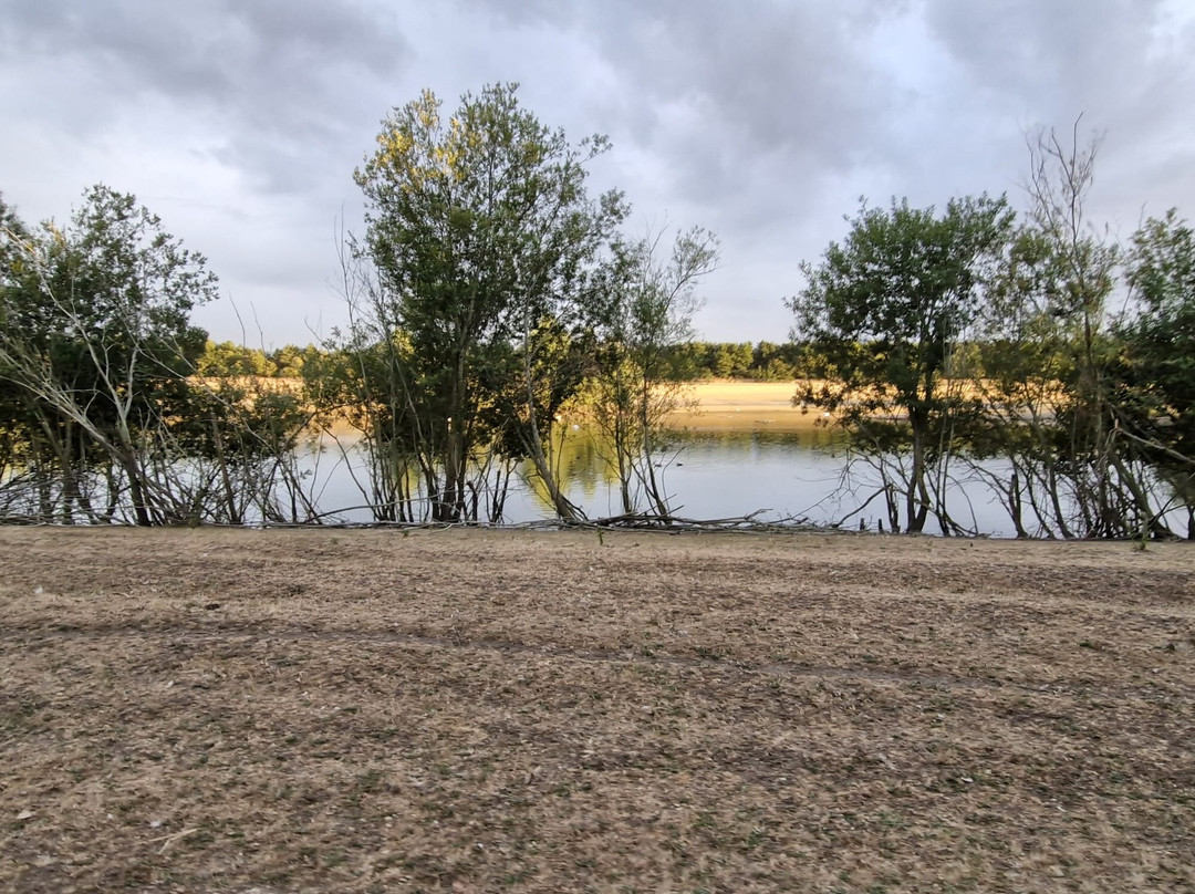 Watatunga Wildlife Reserve-金斯林必去景点