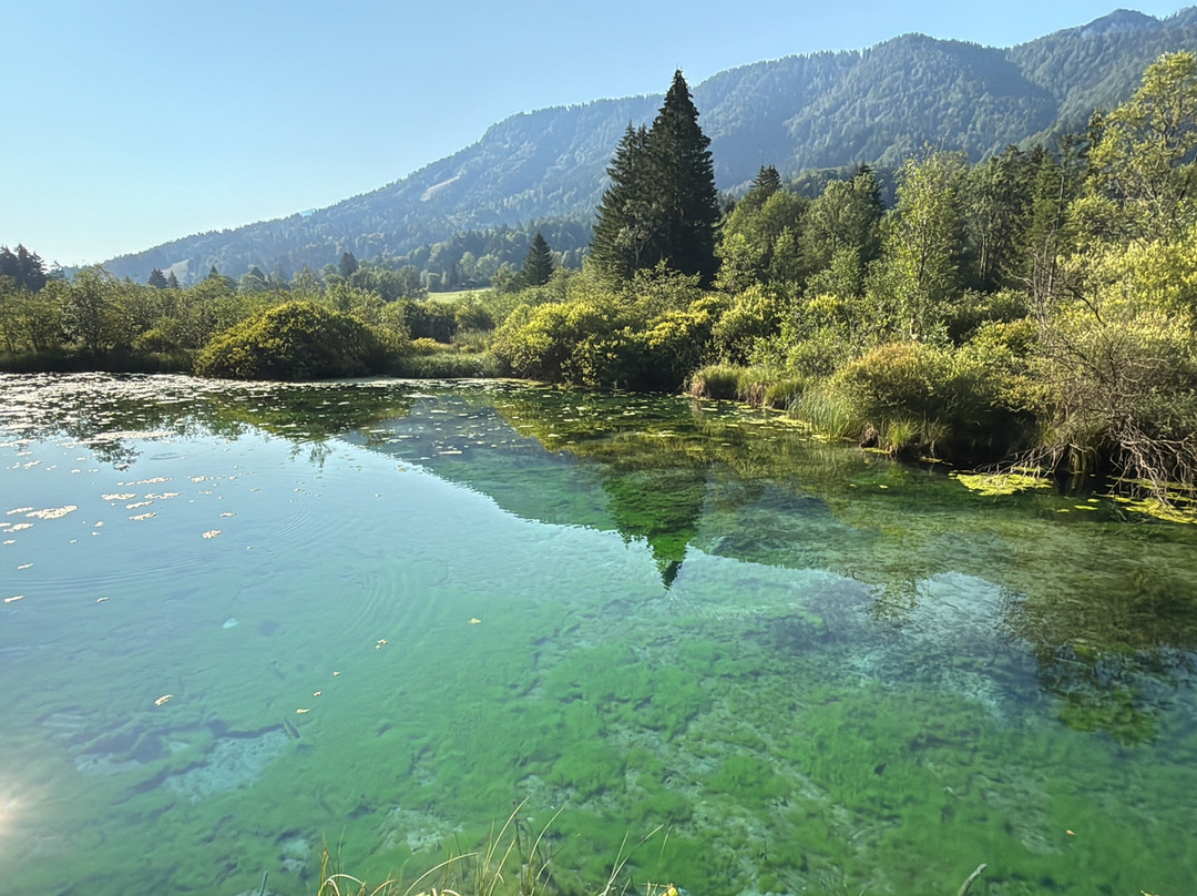 Zelenci Nature Reserve-Kranjska Gora必去景点