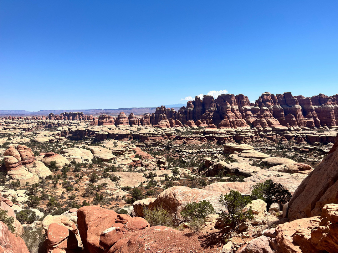 Chesler Park Loop Trail-Monticello必去景点