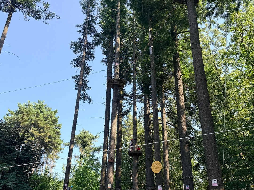 Parco Avventura Sospeso nel Verde-Villa Basilica必去景点