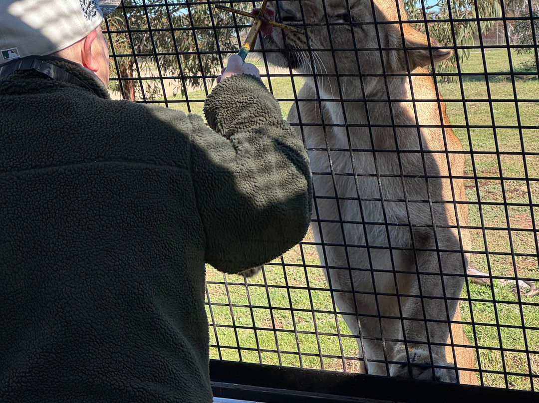 Monarto Safari Park-Monarto必去景点
