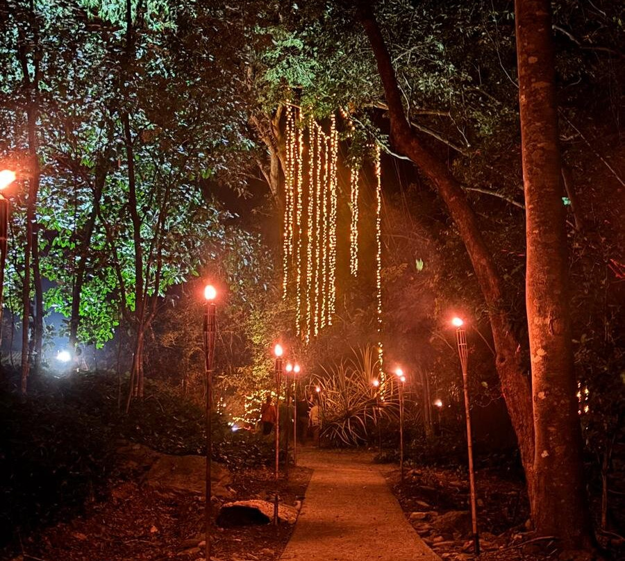 Flames of the Forest-道格拉斯港必去景点