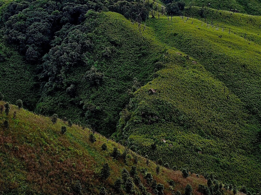 Dzukou Valley-Kohima必去景点
