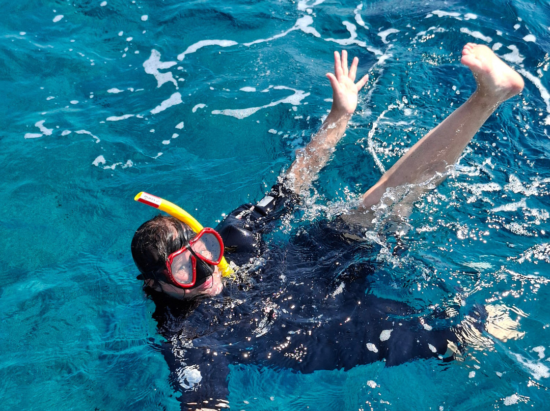 Diving Center Pongo-普莫斯特必去景点