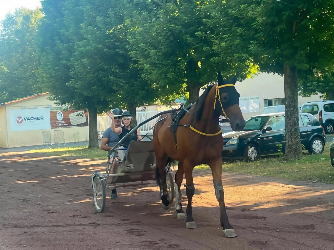 Hippodrome de Bellerive-Bellerive-sur-Allier必去景点