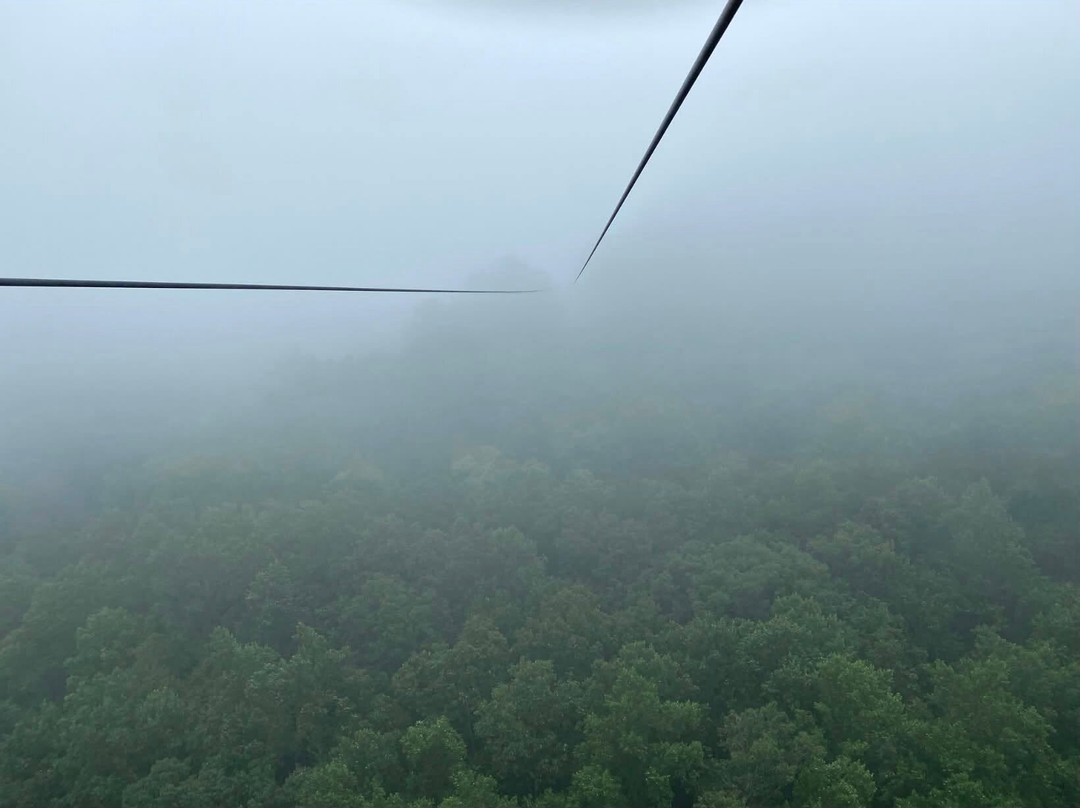 Navitat Canopy Adventures-Barnardsville必去景点