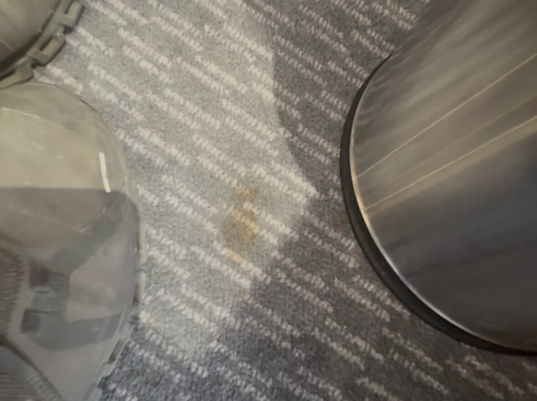 什鲁斯伯里智选假日酒店主图
