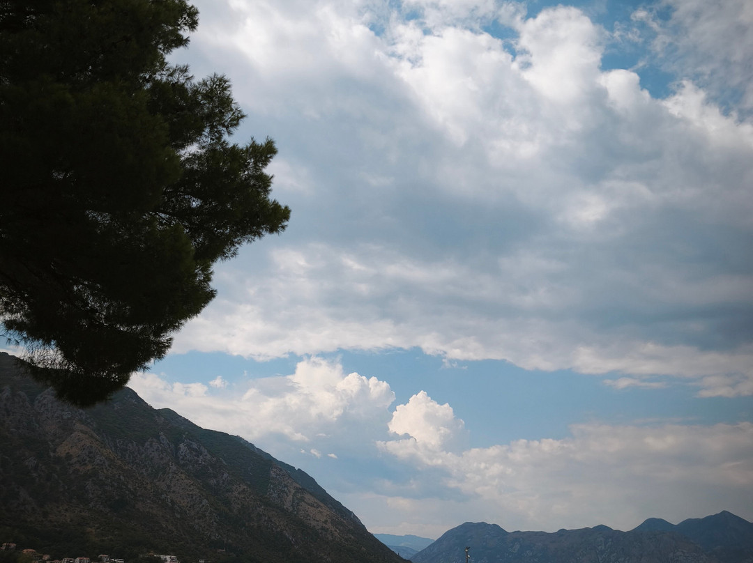 Montenegro Submarine & Kotor Speed Boat Tours-科托尔必去景点