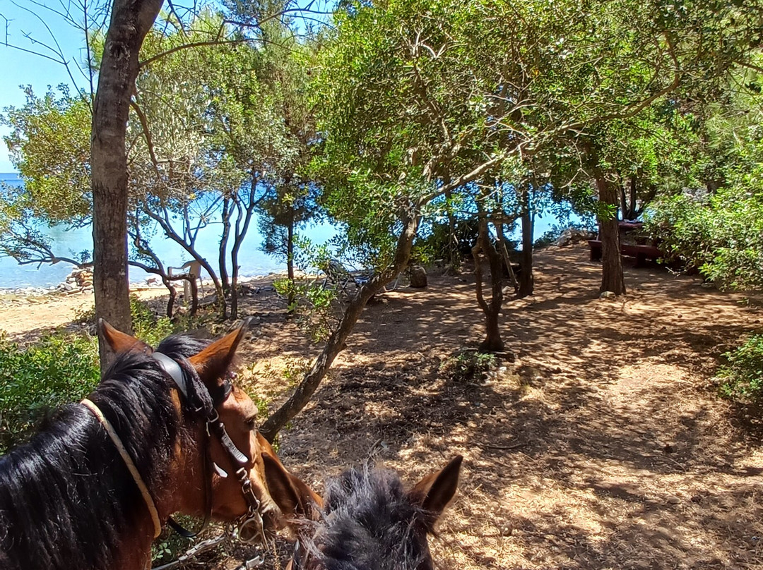 Panouris Ranch-Samos Town必去景点