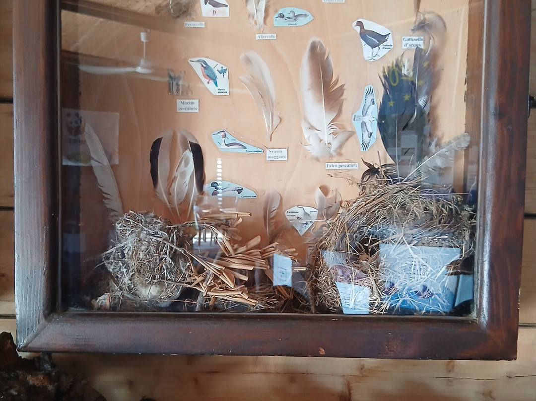Oasi WWF Policoro Herakleia-波利科罗必去景点