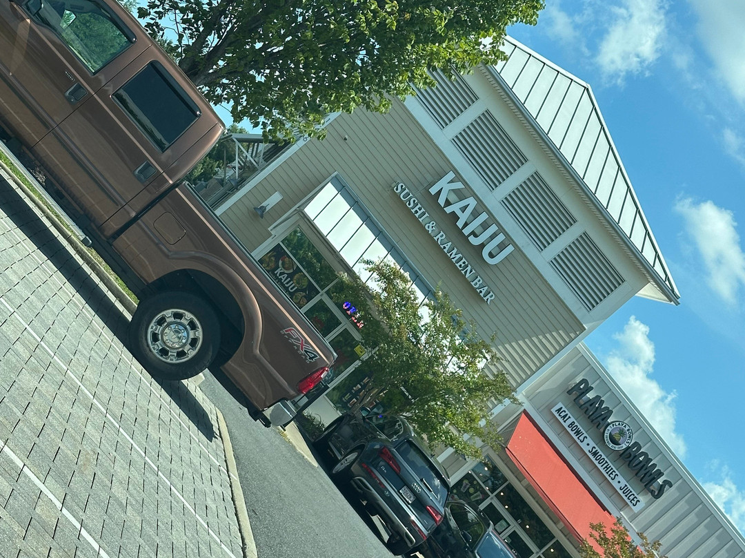 Kaiju Sushi & Ramen Bar