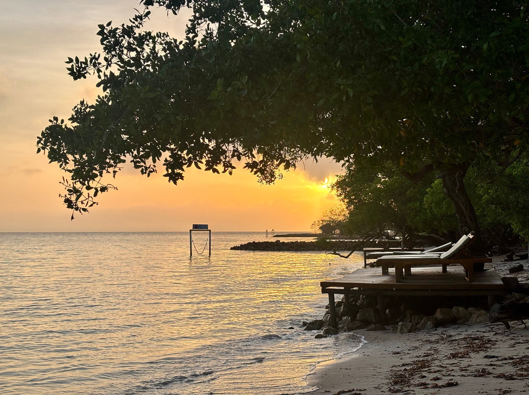 Hotel Isla Palma Reserva Natural主图