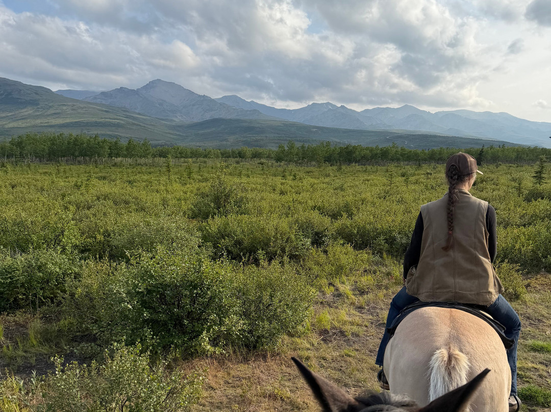 Denali Horseback Tours-德纳利国家公园和自然保护区必去景点