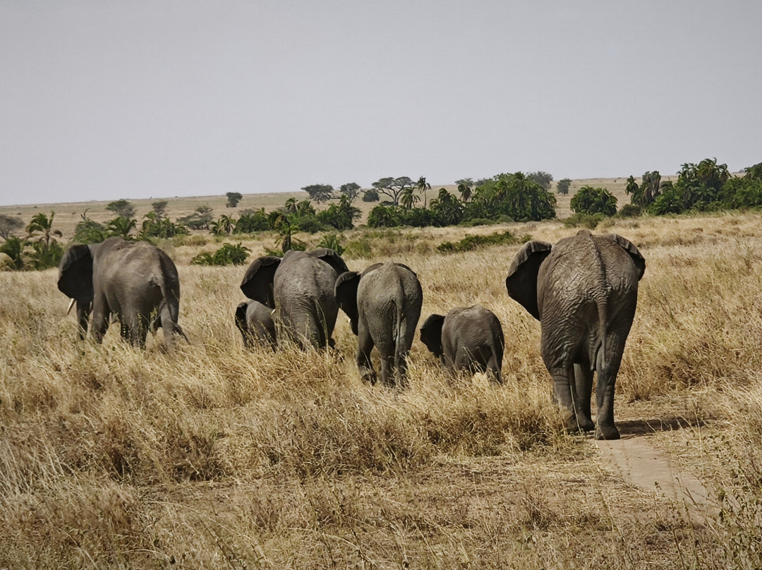Sereland Africa Safaris-Sakina必去景点