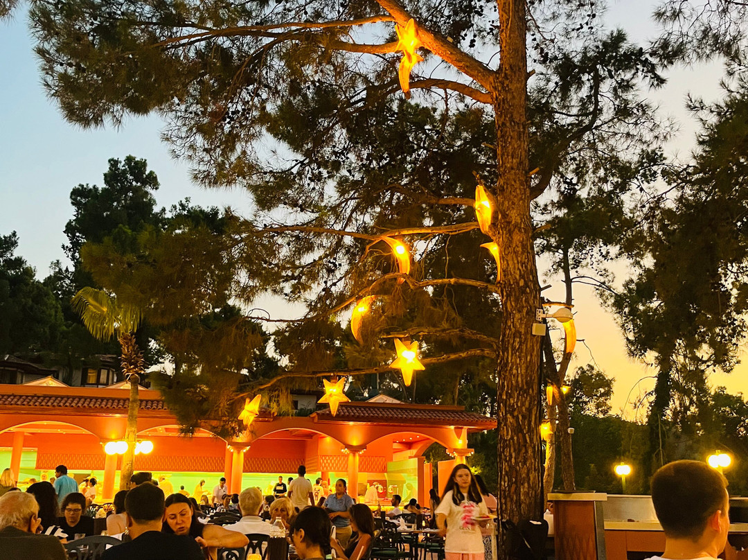 俱乐部及利图尼亚酒店-全包主图