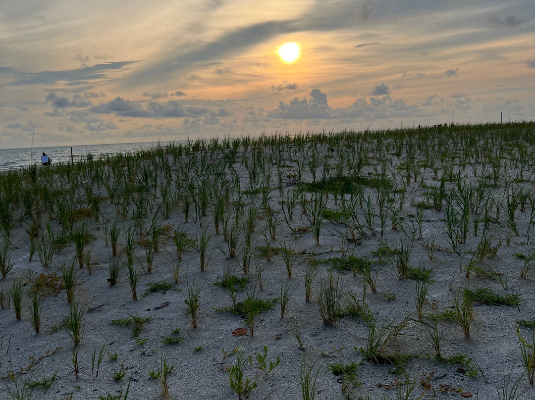 Pass-a-Grille Beach, Florida-圣彼得海滩必去景点