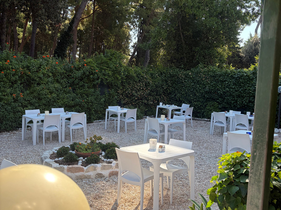 Hotel "Il Parco" B&B Sirolo主图