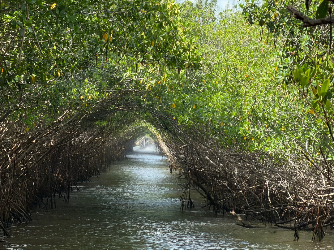 Captain Jack's Airboat Tours-大沼泽地必去景点