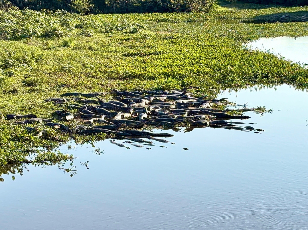 Parque Nacional do Pantanal Matogrossense-波科内必去景点