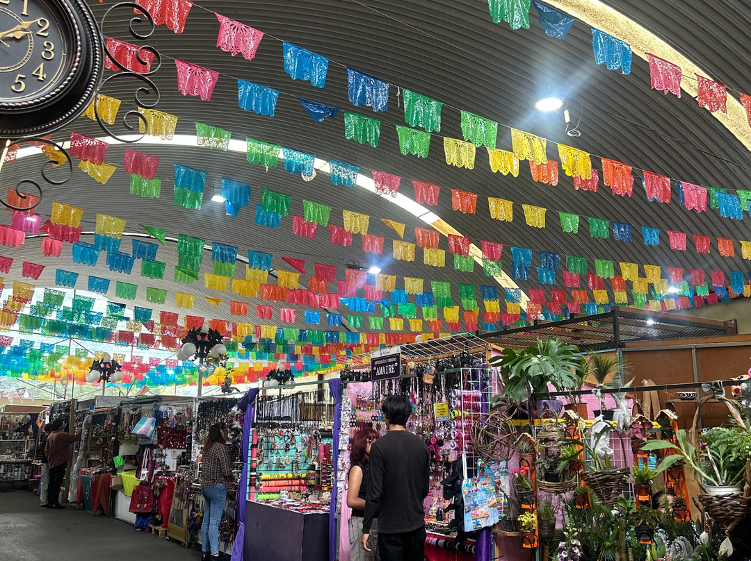 韦拉克鲁斯美洲嘉年华大酒店主图